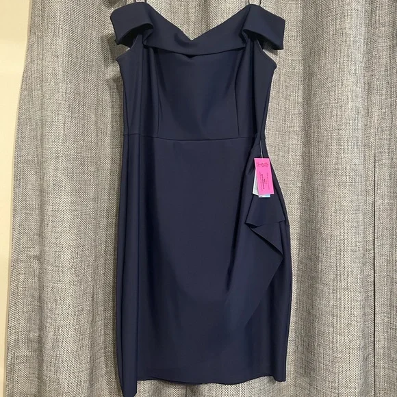 sachin and babi light blue dress Alex Evenings Plus Size Portrait-collar Side-ruched A-line Dress In  Electric Blue